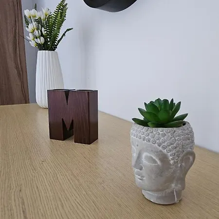 M&m Cozy Apartamento Shëngjin